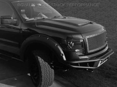 Royalty Core - Ford F-150 2009-2012 RCR Race Line Grille - Image 4